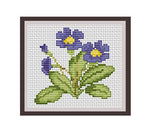 Primula Cross Stitch Pattern.