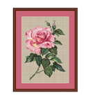 Pink Roses Cross Stitch Pattern.