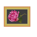 Peony Cross Stitch Pattern.